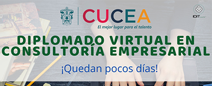 Diplomado Virtual en Consultoría Empresarial