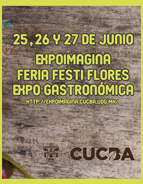 Expo Imagina 2021