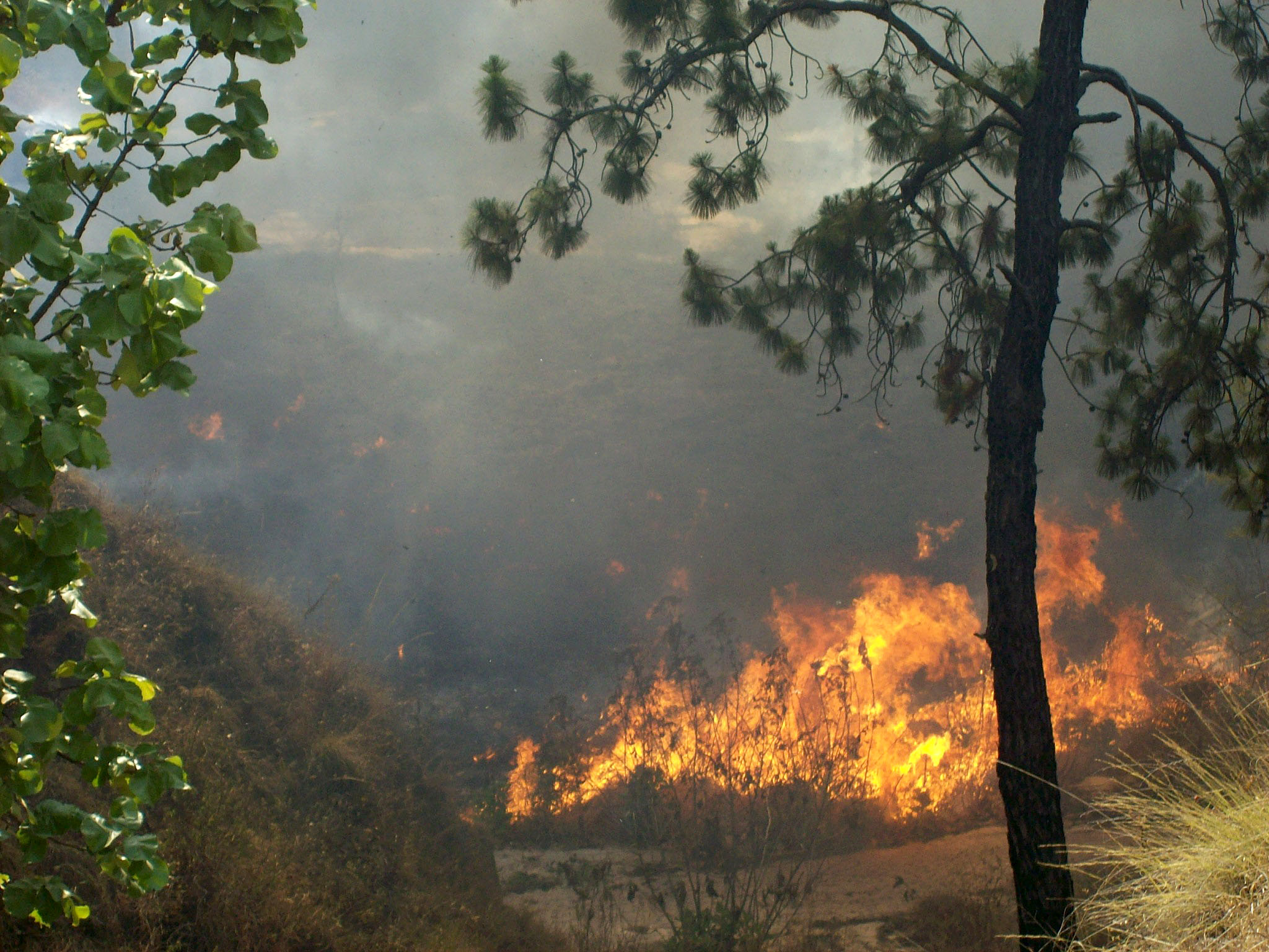 Prepara CUCBA, brigada para combatir y prevenir incendios. Se espera que este año sea uno de los más cálidos del siglo XXI