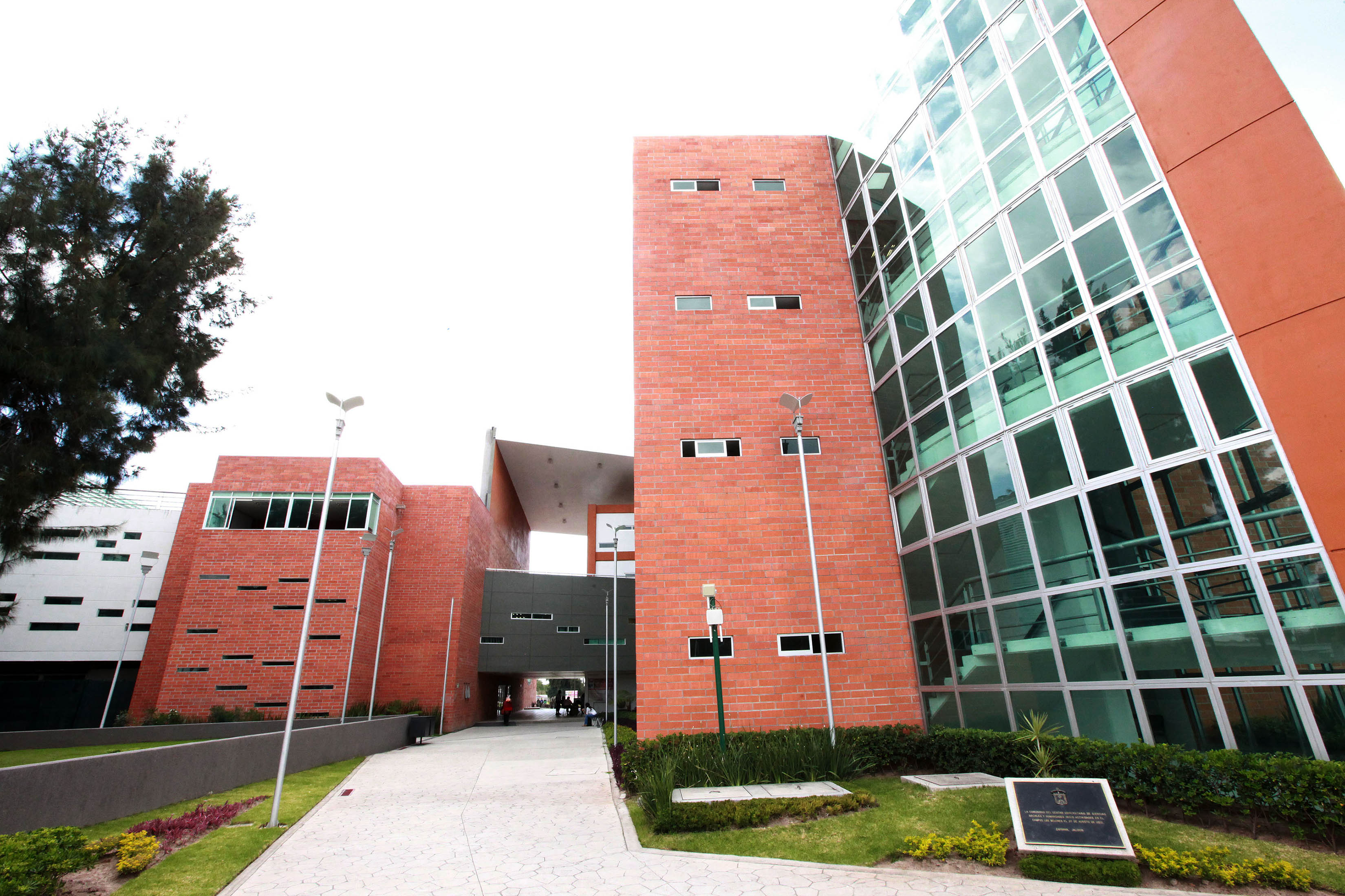 Dos posgrados del CUCSH se incorporan a Programa Nacional de Calidad Universidad de Guadalajara