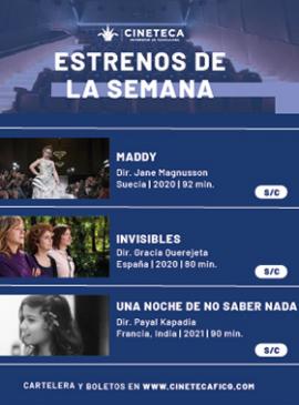 Cartel de la Cartelera de la Cineteca FICG Cartel de la Cartelera de la Cineteca FICG