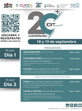 Cartel del 20 aniversario del IDITpyme Cartel del 20 aniversario del IDITpyme