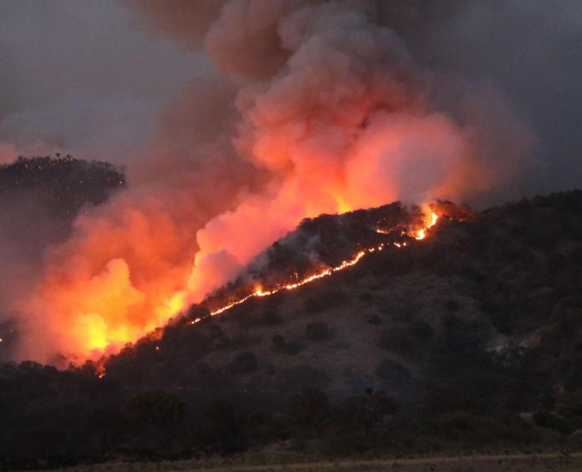 Incendio en la primavera afectó ocho por ciento del área natural protegida: especialista de la UdeG