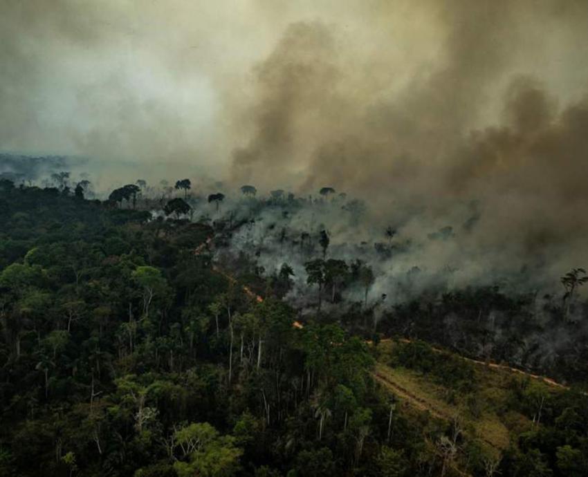Incendio en la Amazonía: ecocidio que resentiremos todos