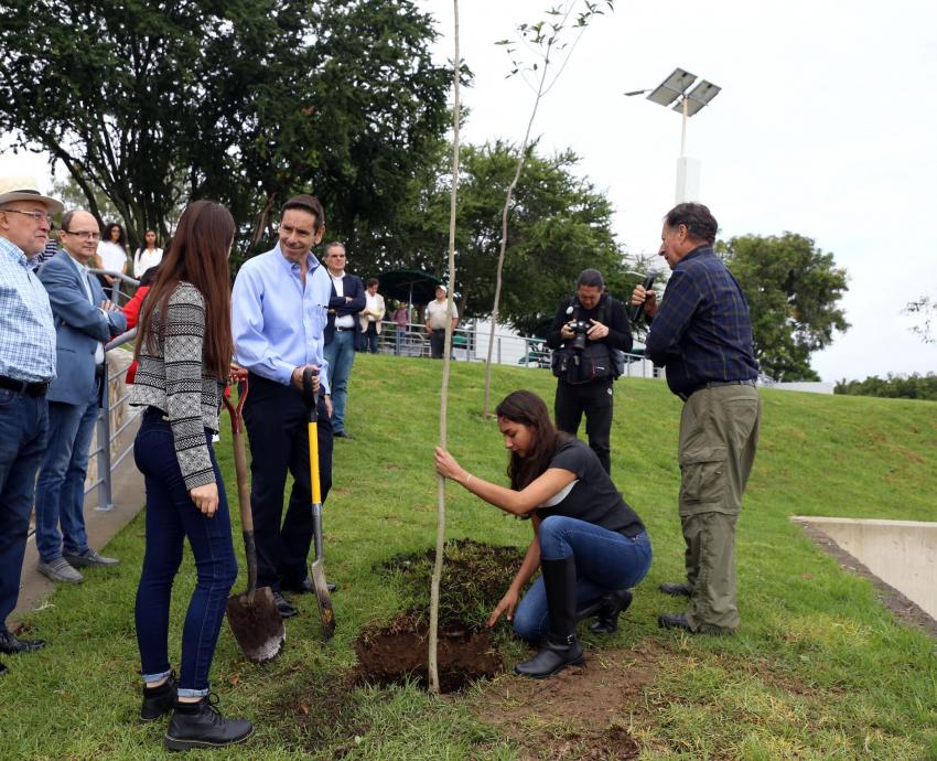 Plantan árboles endémicos de la Barranca de Huentitán en el CUAAD