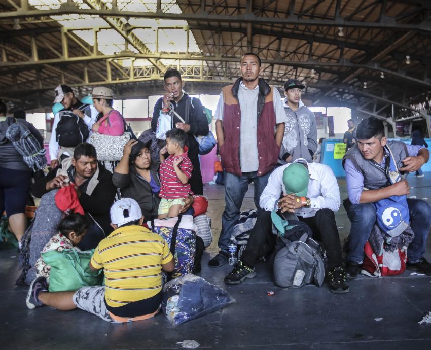 Persisten barreras institucionales para brindar derechos sociales a migrantes en AMG