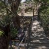Puente que salva el riachuelo de la zona forestal.