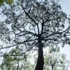 La investigación es única en México por el tipo de experimentación que realiza