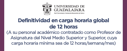 Definitividad en carga horaria global de 12 horas