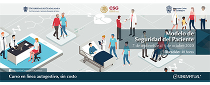 Curso: Modelo de seguridad del paciente