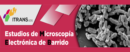 Cartel de Estudios de Microscopía Electrónica de Barrido en el ITRANS