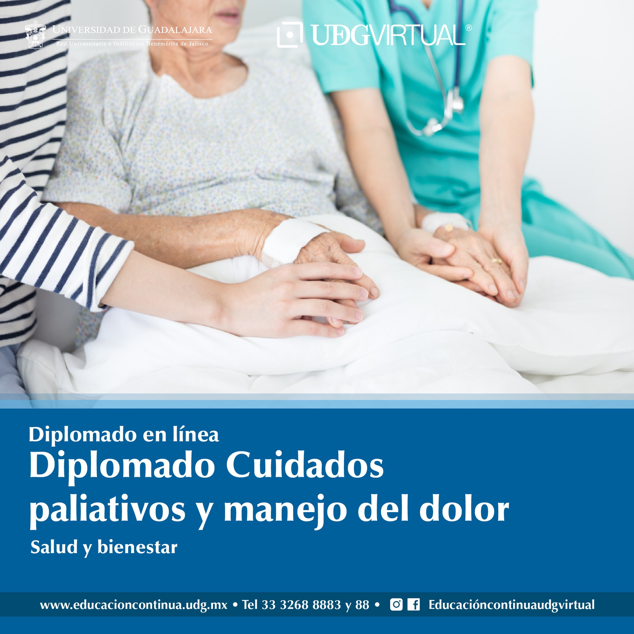 Cartel del Diplomado en línea: Diplomado Cuidados Paliativos y Manejo del Dolor
