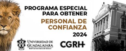 Programa especial para obtener definitividad personal de confianza 2024