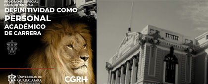 Cartel del Programa especial para obtener la definitividad como personal académico de carrera