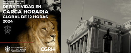 Cartel del Programa especial para obtener la definitividad en carga horaria global de 12 horas 2024