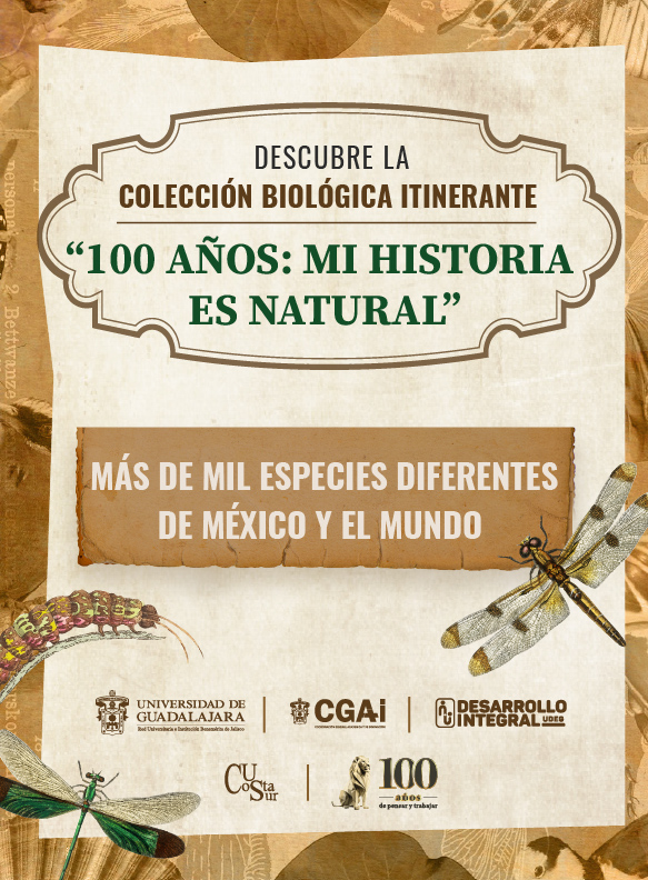 Cartel del Descubre la colección biológica itinerante "100 años: Mi historia es natural"