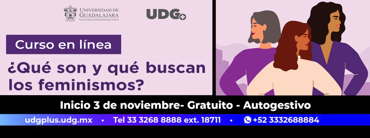 Cartel del Curso autogestivo en línea: ¿Qué son y que buscan los feminismos?