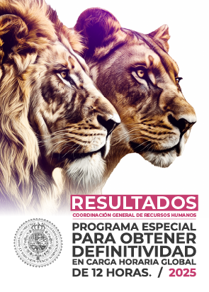 Resultados del Programa Especial para Obtener la Definitividad en Carga Horaria Global de 12 Horas 2025