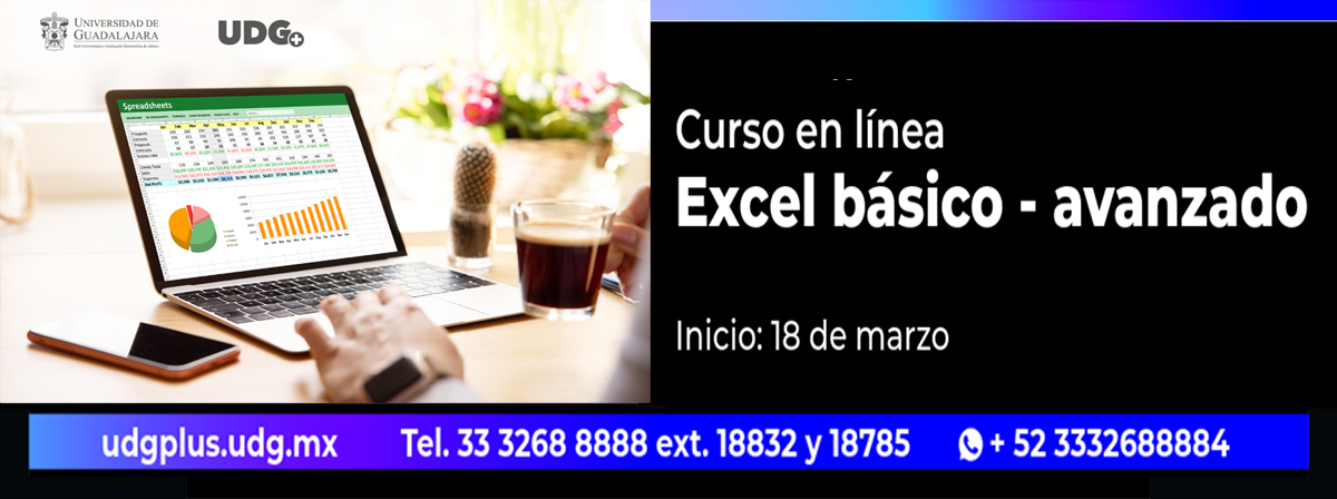 Cartel del Curso en línea: Excel básico-avanzado