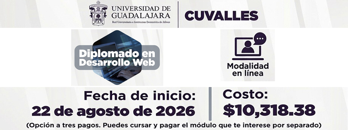 Cartel del Diplomado en Desarrollo Web