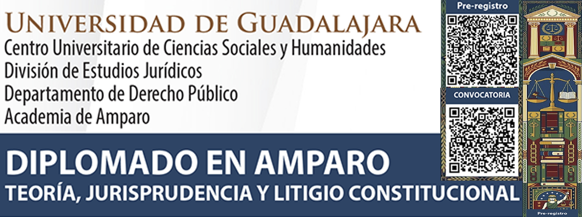 Cartel del Diplomado en Amparo