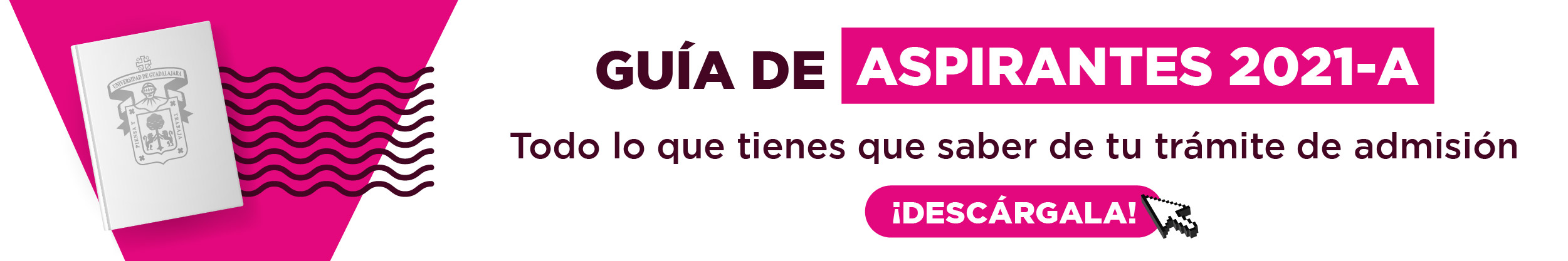 Guía de aspirantes 2021-A