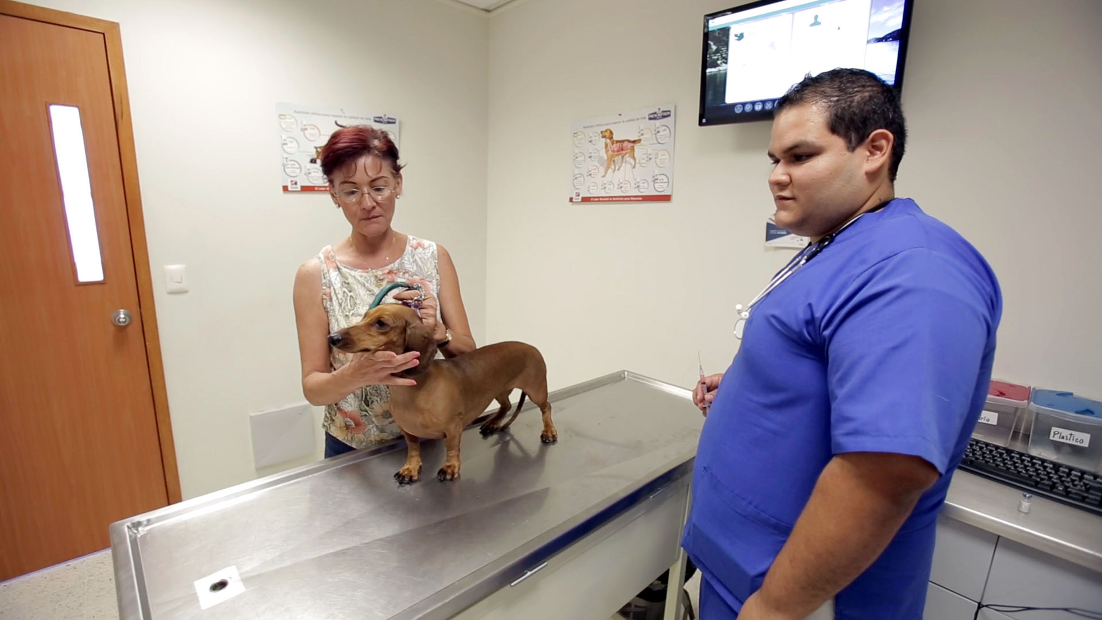 Licenciatura en Medicina Veterinaria y Zootecnia, entre las carreras con  mayor demanda | Universidad de Guadalajara