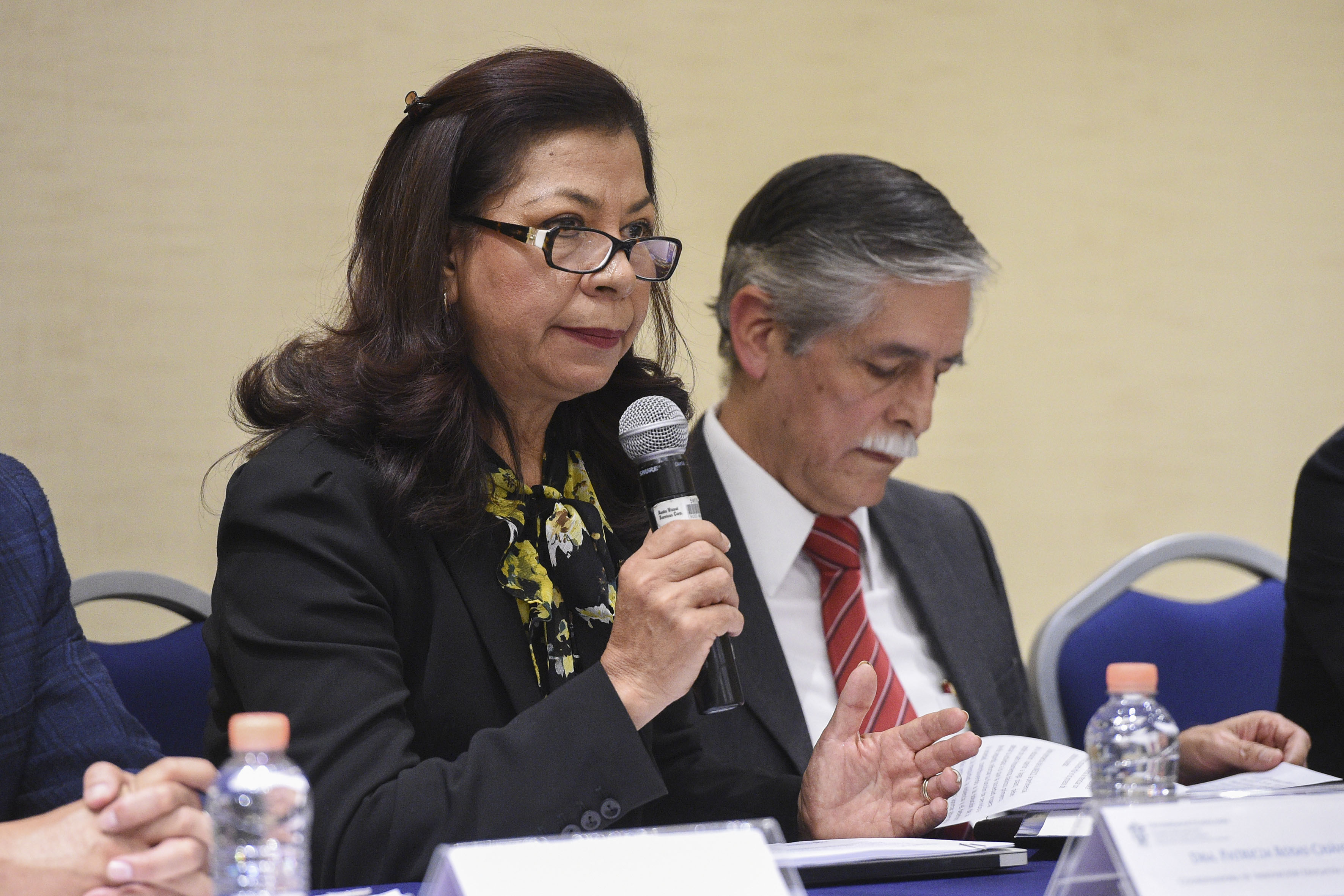 Jefa del Área de Apoyo a las Comisiones del Consejo General Universitario, doctora Juana Eugenia Silva Guerrero, haciendo uso de la palabra 