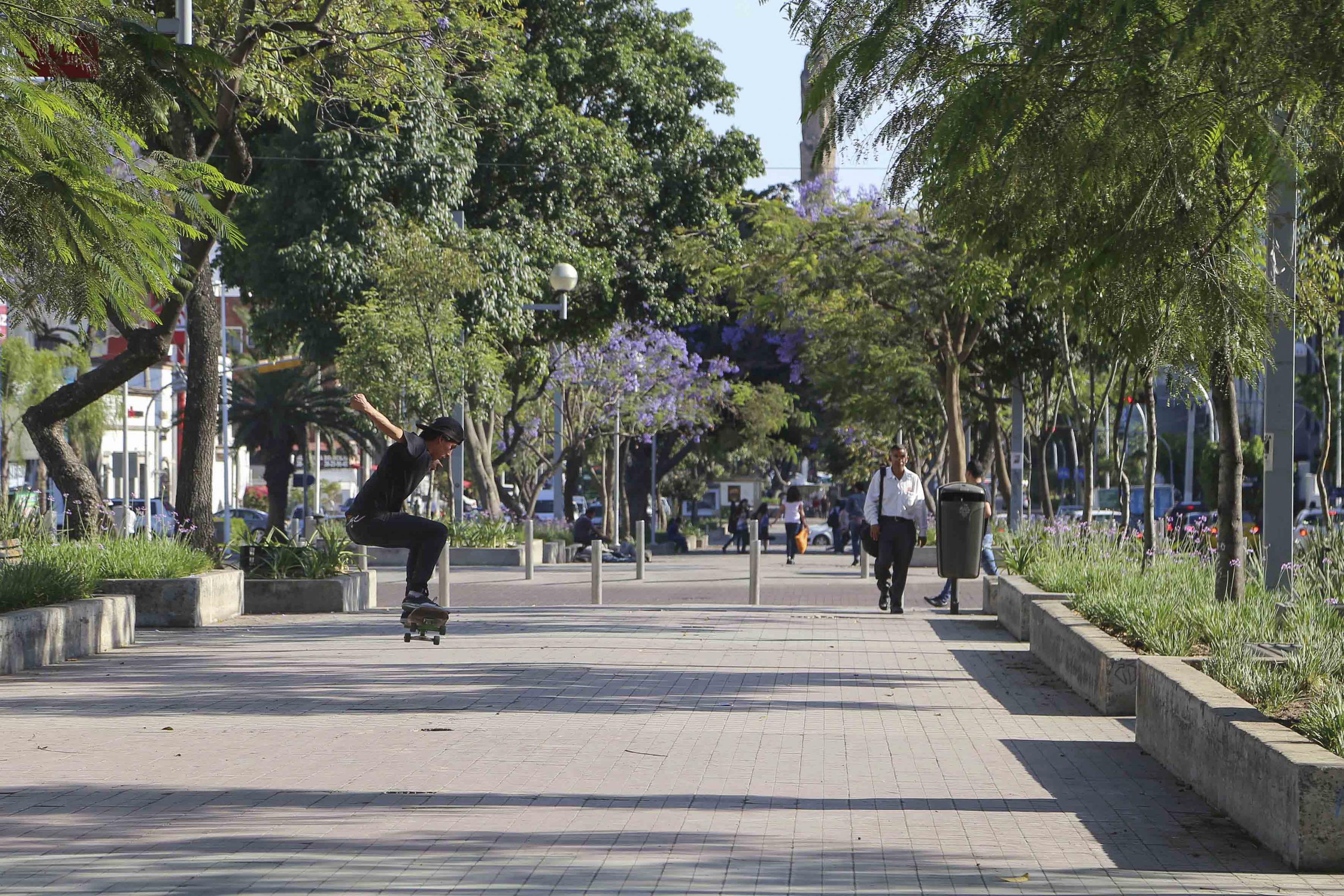 El paseo es de los favoritos de los tapatios.