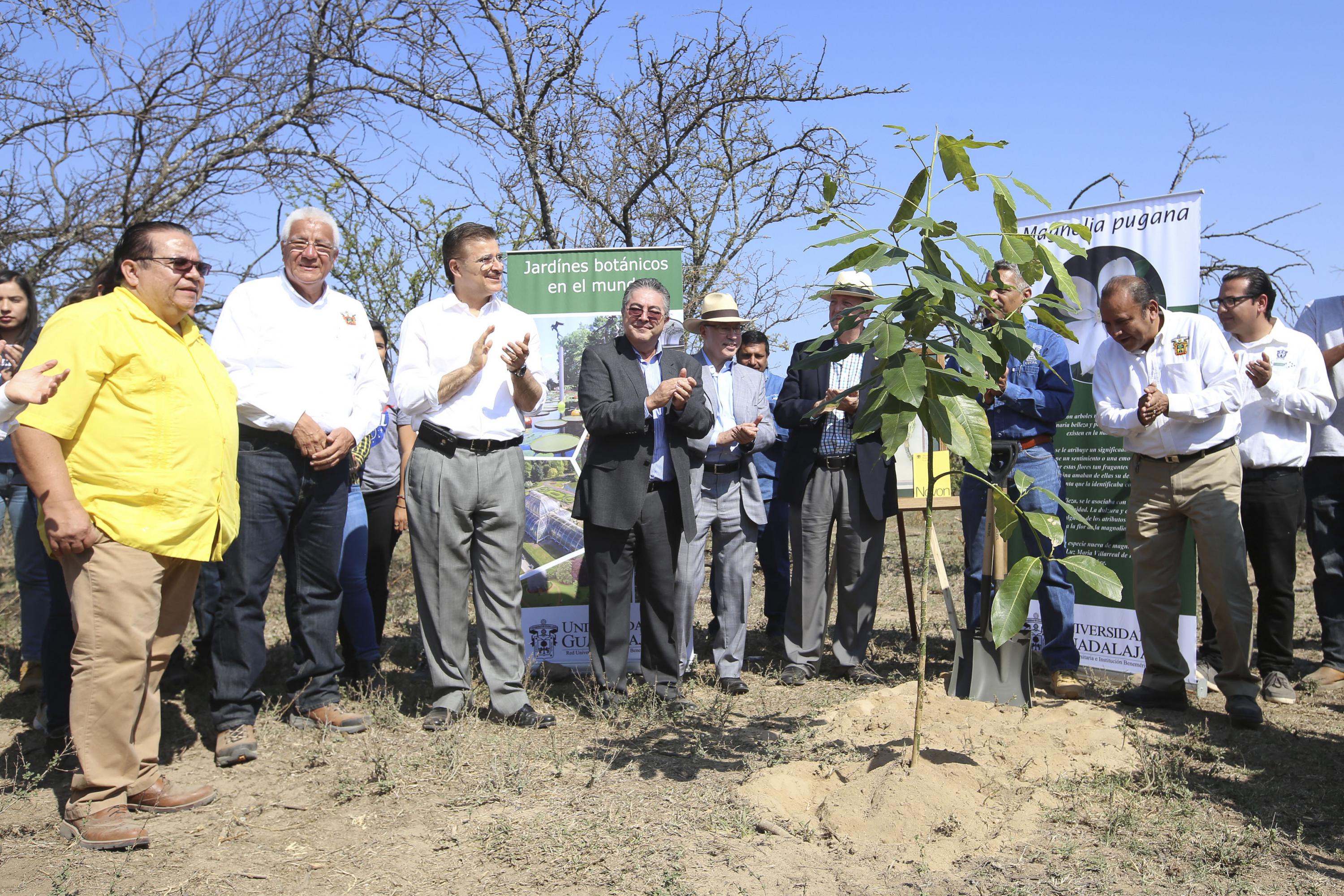 Rector General de la UdeG, maestro Itzcóatl Tonatiuh Bravo Padilla, en compañía de autoridades del centro universitario, de la institución y de gobierno, aplaudiendo al final de la colocación de la primera planta en el Parque Botánico de la UdeG.