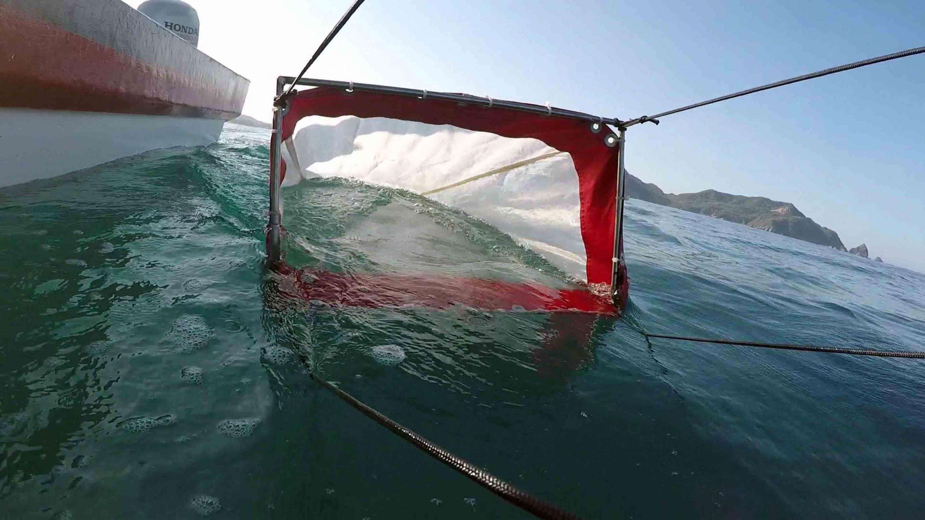 Una red de filtrado con la que los investigadores de biologia extraen los microdesechos plasticos