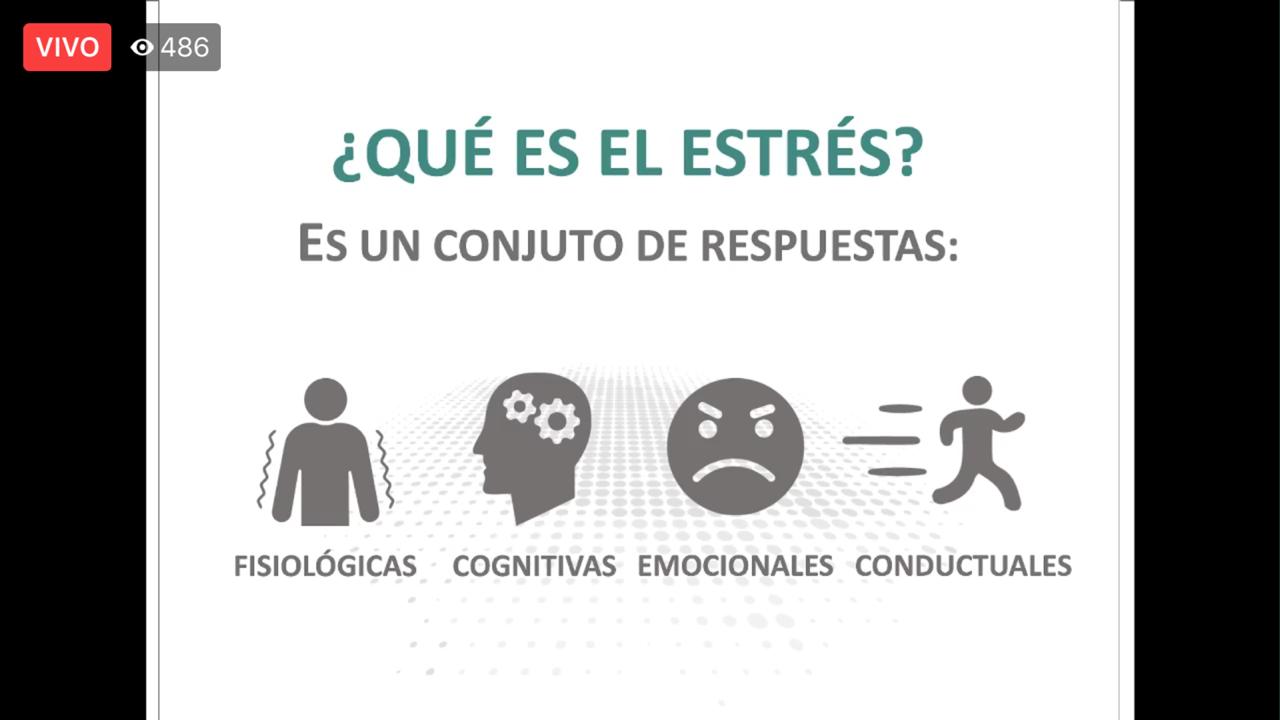 Posibilidades Mordrin Bendecir Controlar el estrés contribuye a evitar enfermedades | Universidad de  Guadalajara