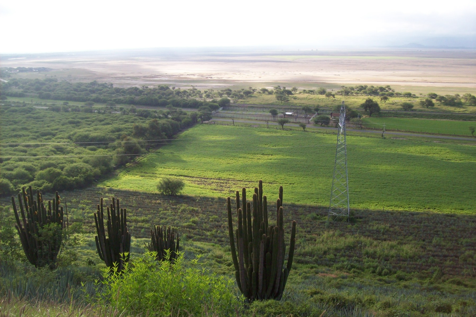 Vista aérea de la cuenca Zacoalco-Sayula 