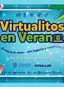 Cartel de Virtualitos en verano