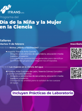 Cartel de los Talleres para conmemorar el Día Internacional de la Mujer y la Niña en la Ciencia en el ITRANS Cartel de los Talleres para conmemorar el Día Internacional de la Mujer y la Niña en la Ciencia en el ITRANS