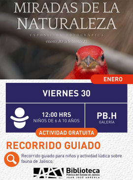 Cartel del Recorrido guiado para niños y actividad lúdica sobre fauna de Jalisco