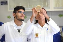 Científicos de las Cátedras de la Diáspora Mexicana fortalecen la investigación global de la UdeG