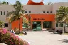 Celebran 13 años de la licenciatura en Cultura física y deportes del CUCosta