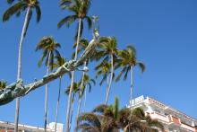 Hay auge turístico en Puerto Vallarta, pero también aumento de la desigualdad