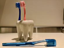 Cepillos de dientes, caldo de cultivo para bacterias y hongos