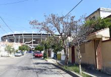 Falta una radiografía de árboles del Área Metropolitana de Guadalajara