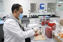 Con hemocultivos, optimizan tratamientos en pacientes del HCG