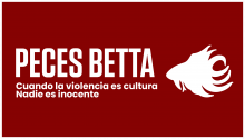 Cortometraje “Peces betta” obtiene estímulo Proyecta 2026