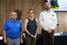 Poco suelo y enfermedades hacen propensa la caída de árboles en la AMG