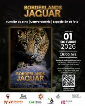 Proyectará Museo de Ciencias Ambientales documental sobre el jaguar en frontera México-EUA