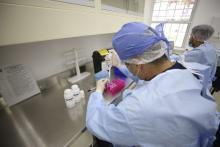 CUCiénega busca personas de 30 a 60 años para estudiar relación entre grasa corporal, genética y salud de la sangre