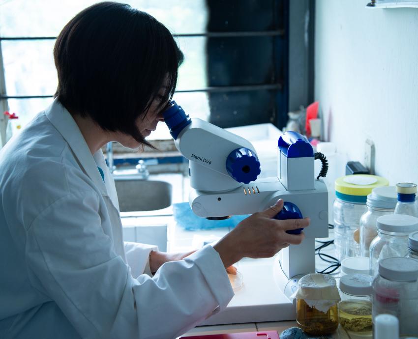 Científicos de las Cátedras de la Diáspora Mexicana fortalecen la investigación global de la UdeG