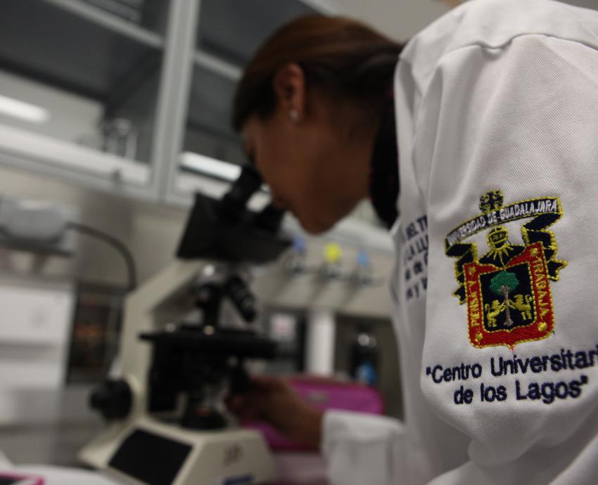 Científicos de las Cátedras de la Diáspora Mexicana fortalecen la investigación global de la UdeG