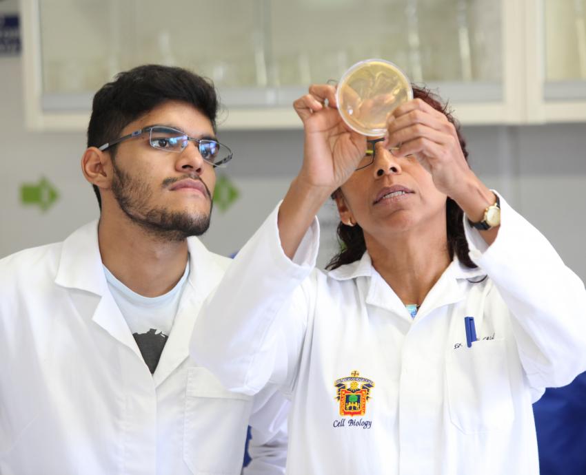 Científicos de las Cátedras de la Diáspora Mexicana fortalecen la investigación global de la UdeG