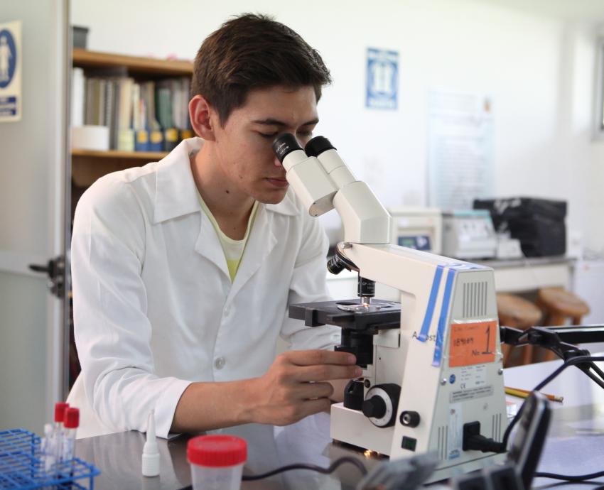 Científicos de las Cátedras de la Diáspora Mexicana fortalecen la investigación global de la UdeG